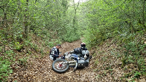 dans la nature Perrdu dans la nature